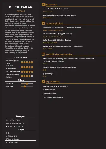 Eczacı CV Örnekleri cv indir